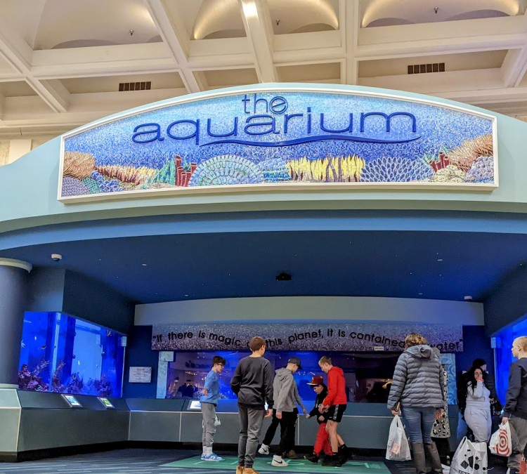 The Aquarium at Eastwood (Niles,&nbspOH)